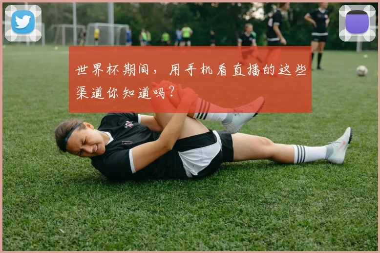 世界杯期间，用手机看直播的这些渠道你知道吗？