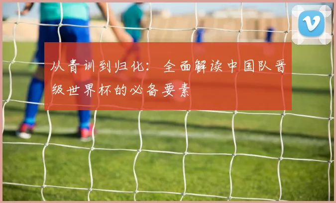 从青训到归化：全面解读中国队晋级世界杯的必备要素