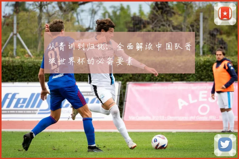 从青训到归化：全面解读中国队晋级世界杯的必备要素